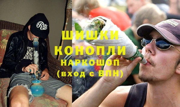PSILOCYBIN Новодвинск