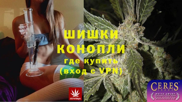 молекула духа Новокубанск