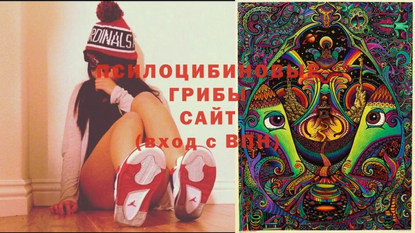 PSILOCYBIN Новодвинск