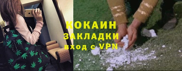 ГАЛЛЮЦИНОГЕННЫЕ ГРИБЫ Вуктыл